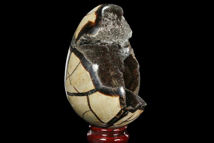 Septarian Dragon Egg Geode - Black Crystals #98885